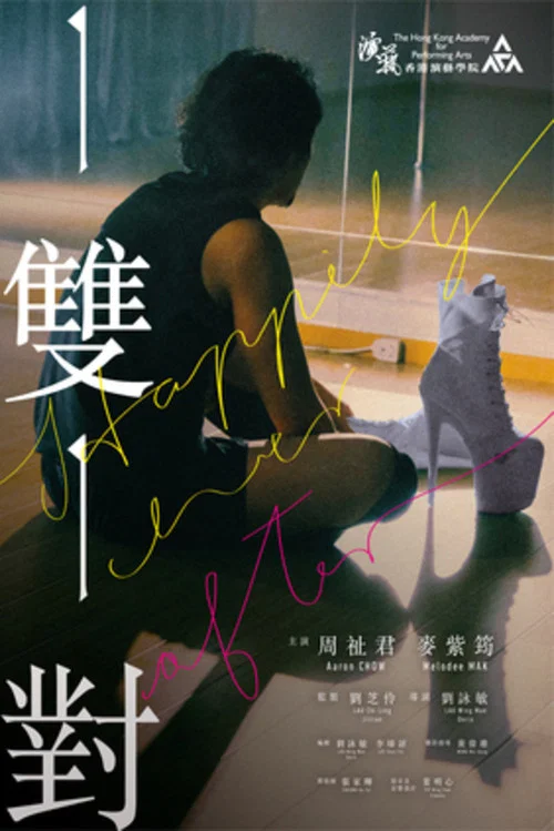 一雙一對 постер