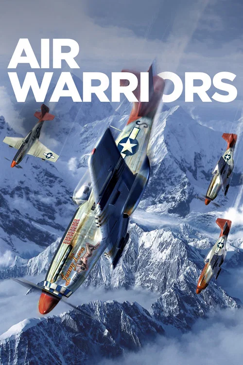 Air Warriors постер