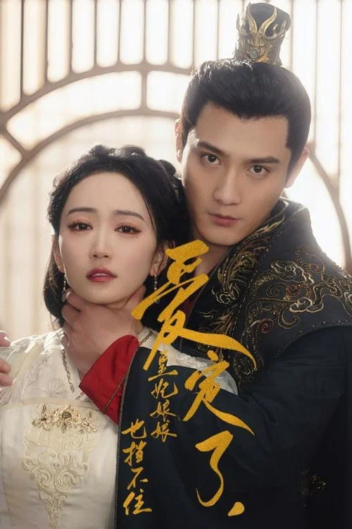 爱定了，皇妃娘娘也挡不住 постер