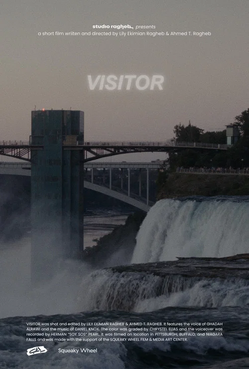 Visitor постер