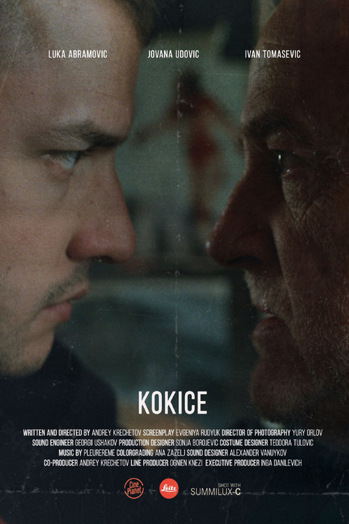 Кокице постер