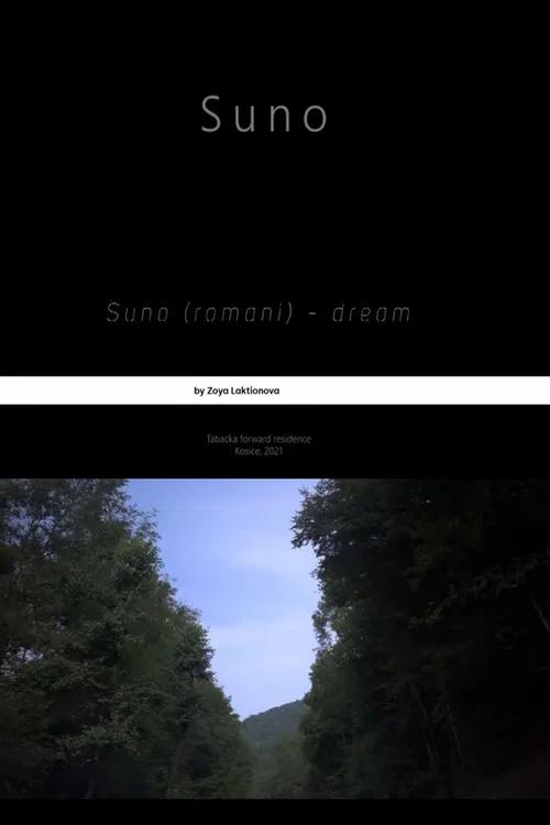 Suno постер
