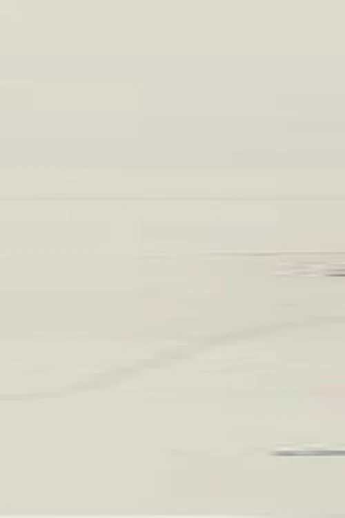 Mientras todo pasa постер