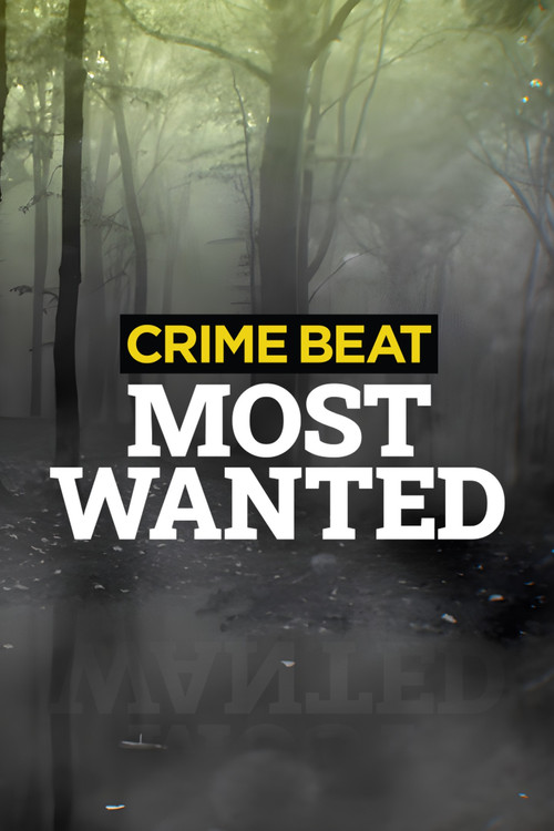 Crime Beat: Most Wanted постер