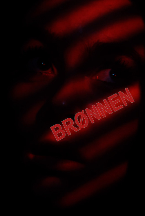 Brønnen постер