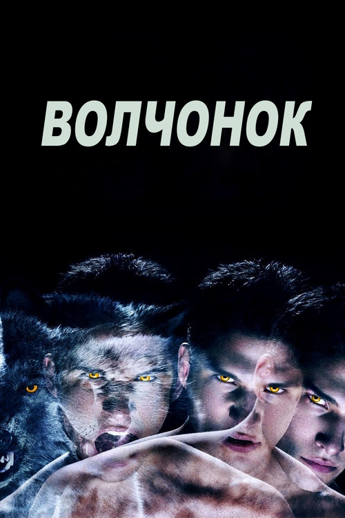 Волчонок постер