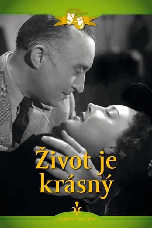 Život je krásný постер