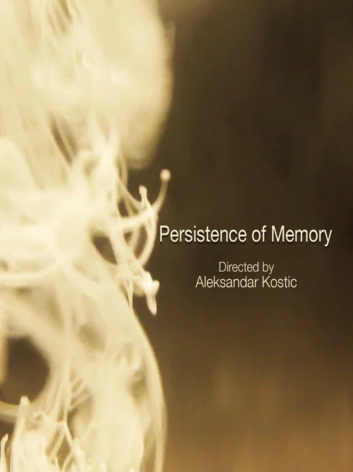 Persistence of Memory постер
