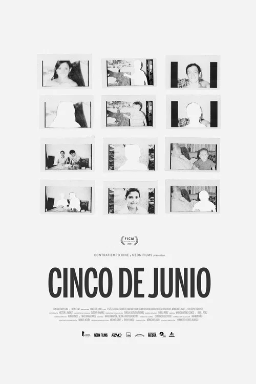 Cinco de junio постер