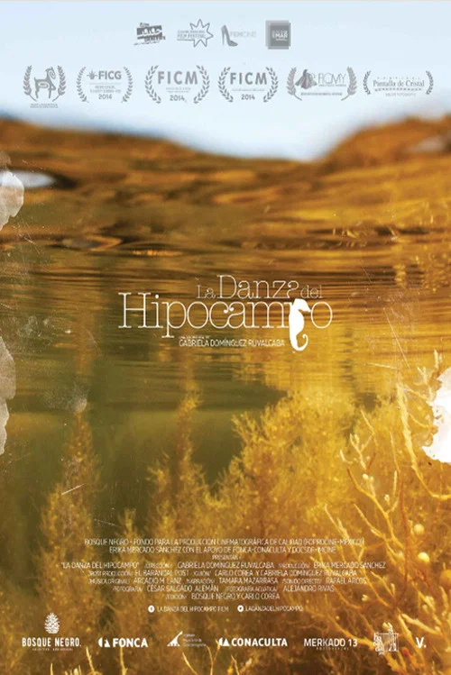 La danza del hipocampo постер