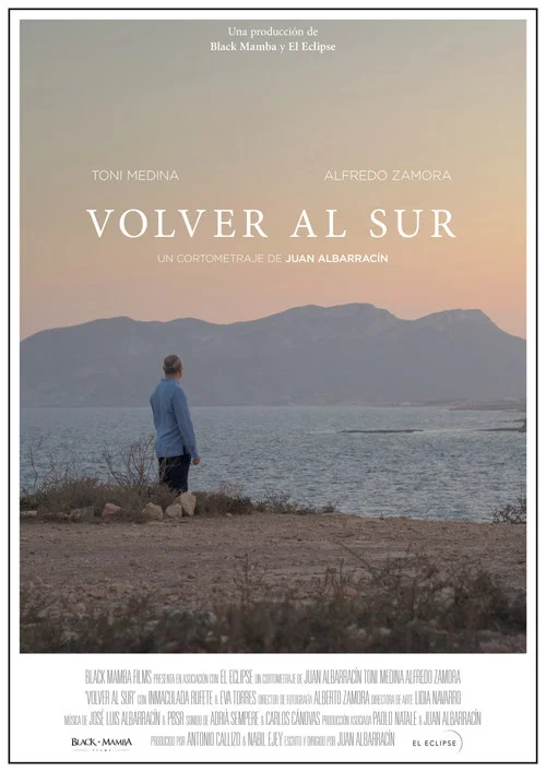 Volver al sur постер