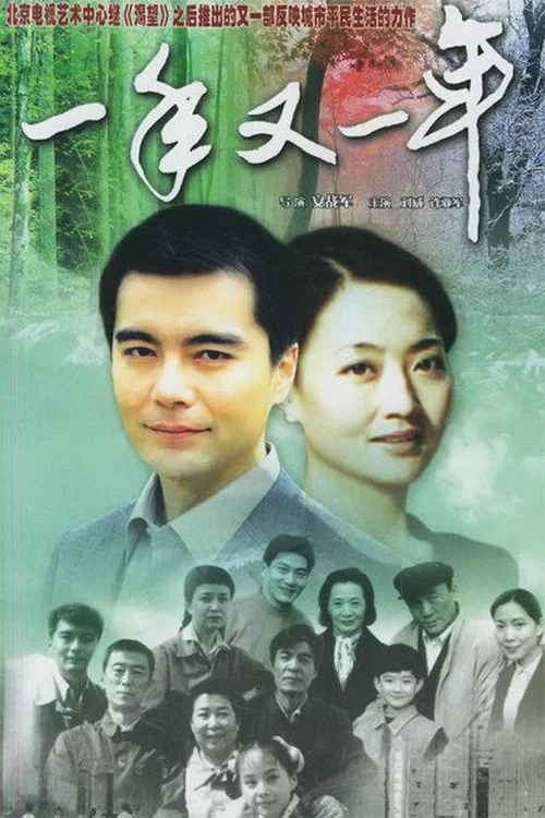 一年又一年 постер