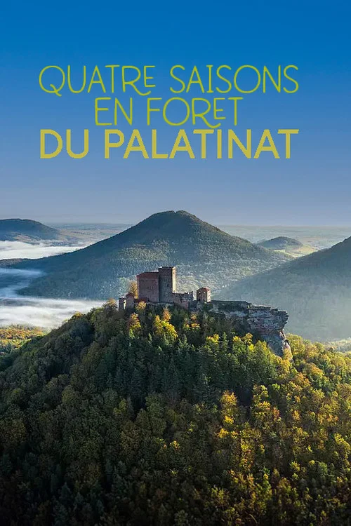 Der Pfälzerwald rund ums Jahr постер