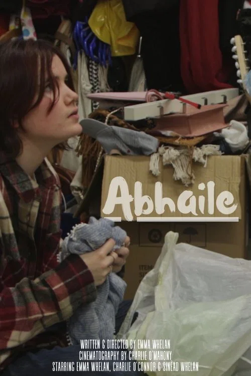 Abhaile постер