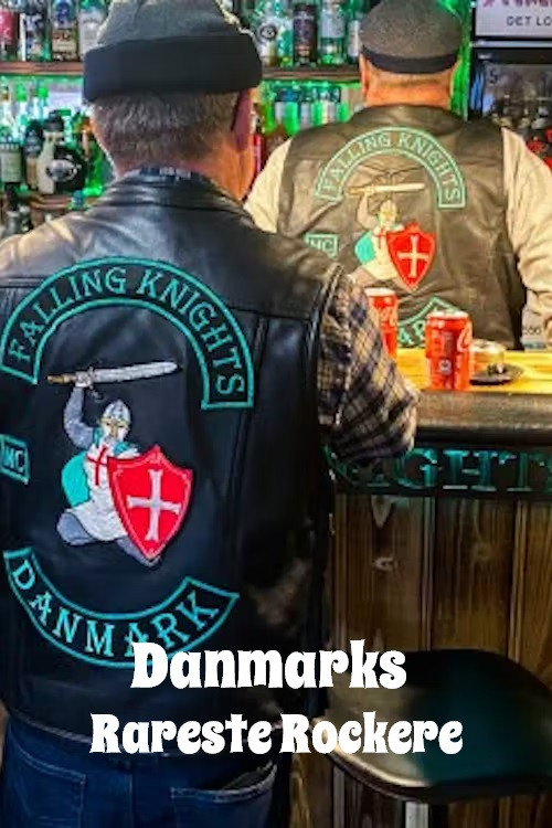 Danmarks rareste rockere постер