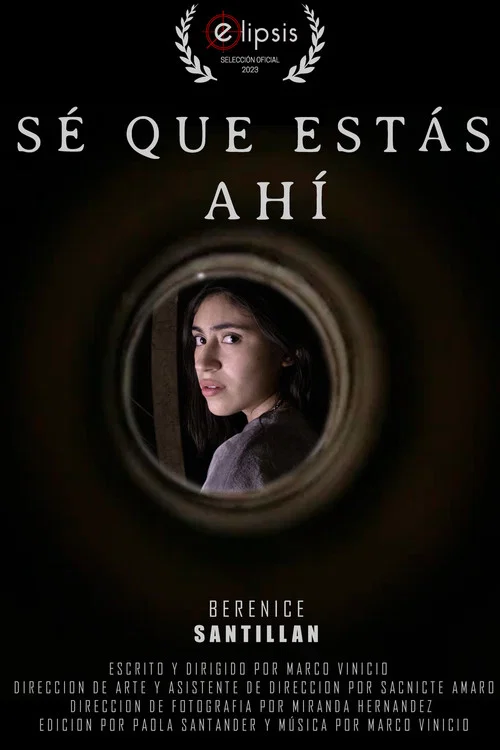 Sé que estas ahí постер