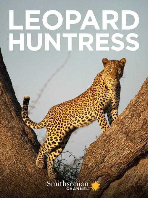 Leopard Huntress постер