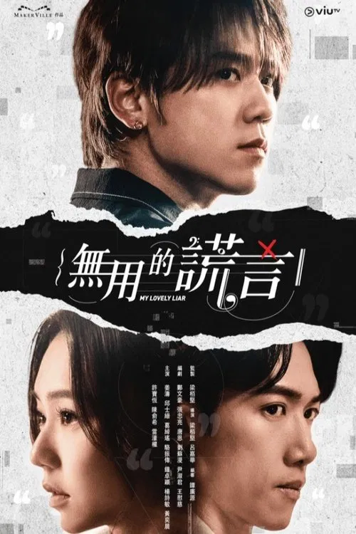 無用的謊言 постер