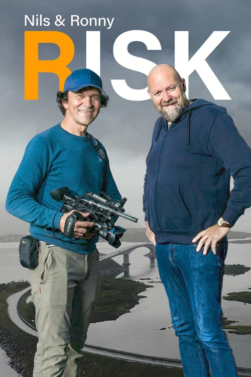 Risk постер