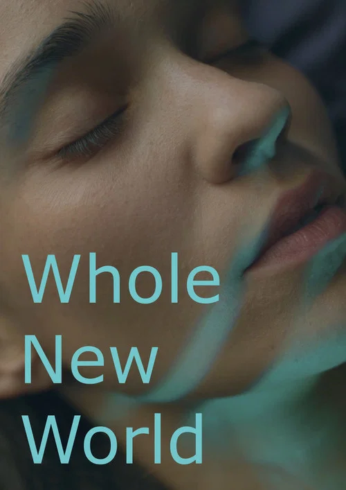 Whole New World постер
