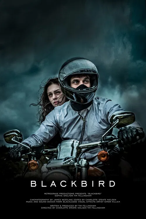Blackbird постер