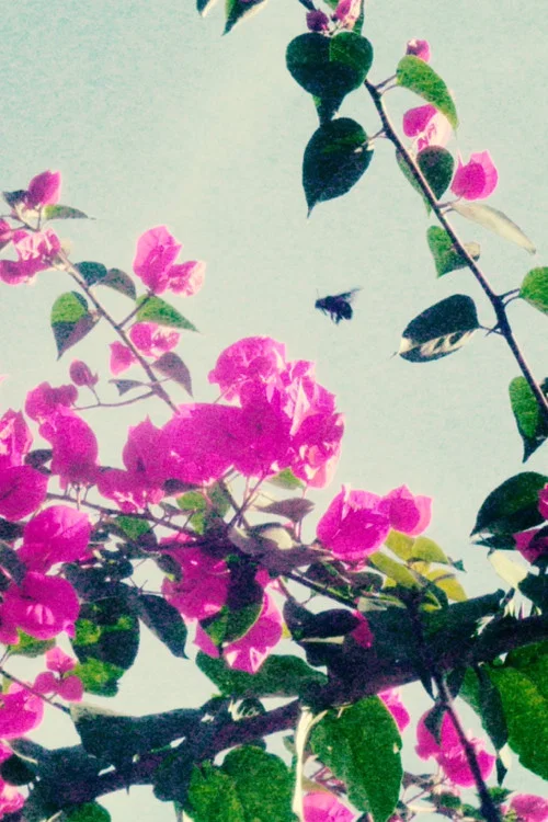 And she was wearing a blue blouse and pink pants постер
