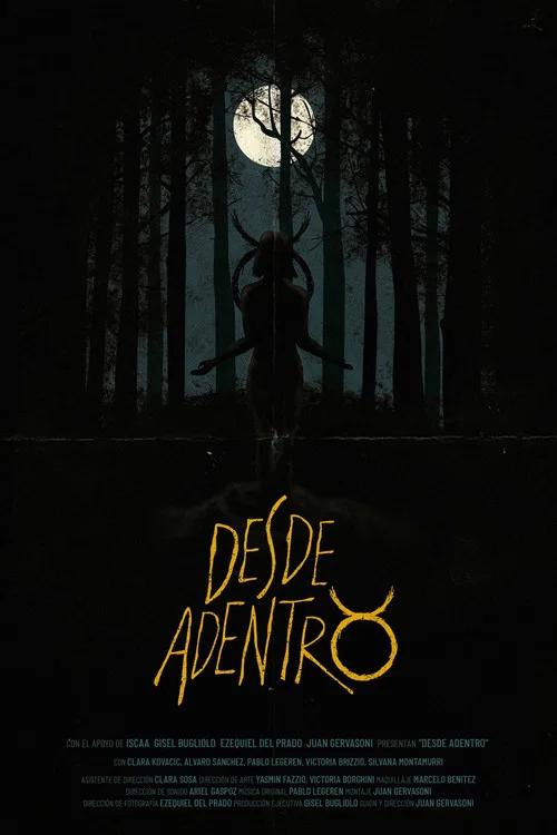 Desde Adentro постер