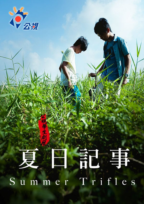 夏日紀事 постер