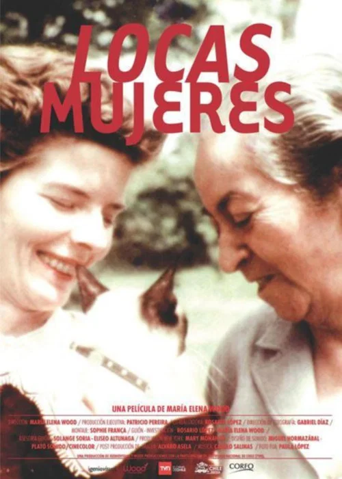 Locas mujeres постер