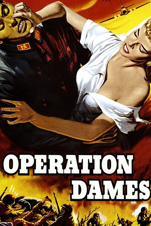 Operation Dames постер