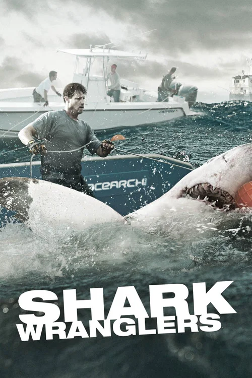 Shark Wranglers постер