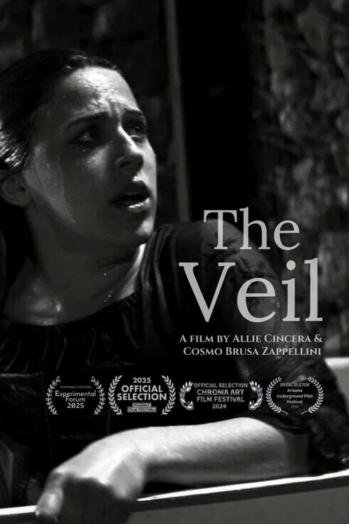 The Veil постер