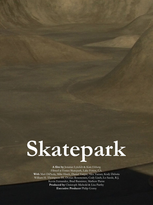 Skatepark постер