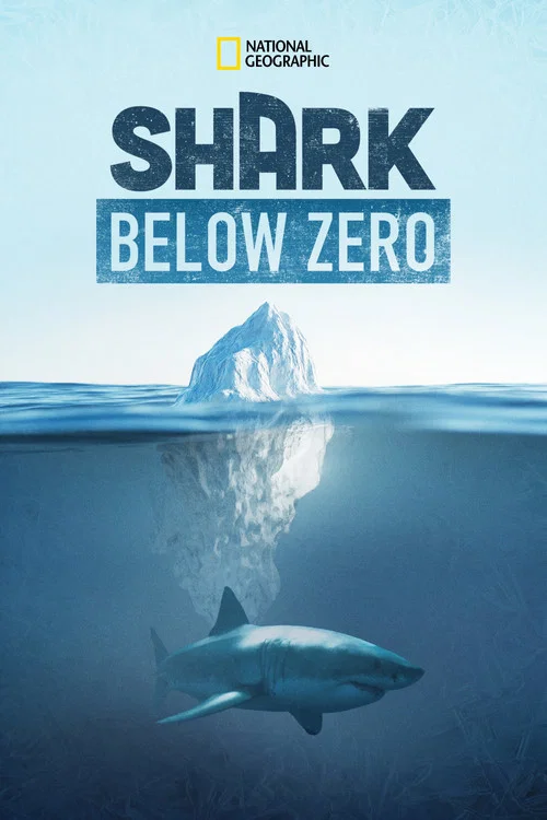 Shark Below Zero постер