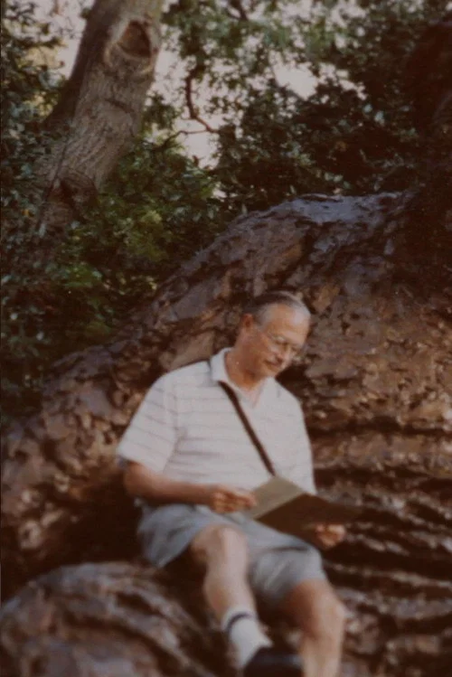 27 Thoughts About My Father постер