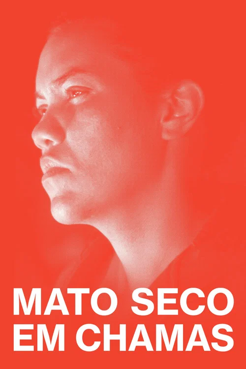 Mato Seco em Chamas постер