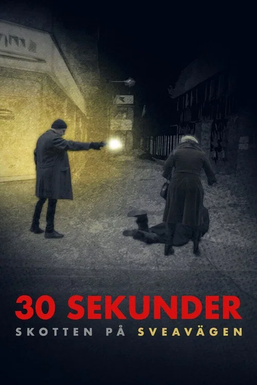30 sekunder: Skotten på Sveavägen постер