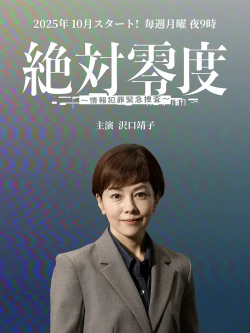 絶対零度～情報犯罪緊急捜査～ постер