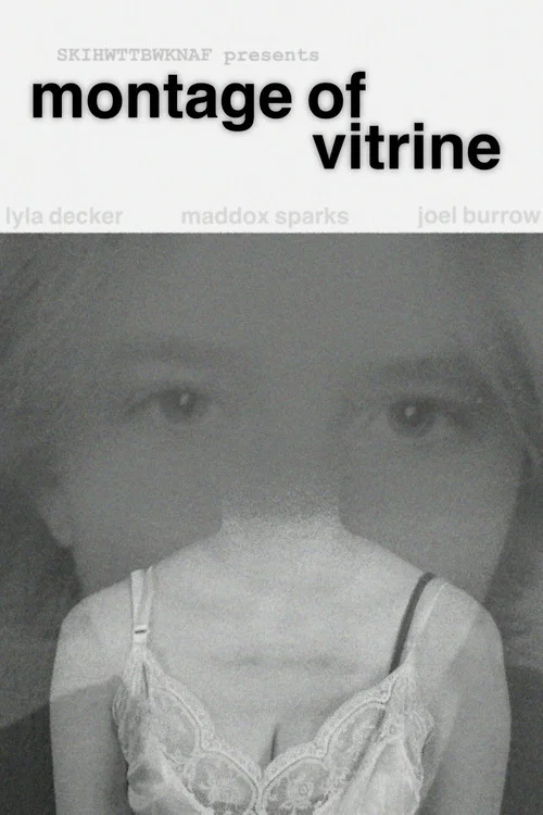 Montage of Vitrine постер