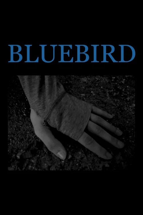 Bluebird постер