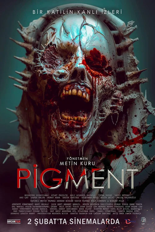 Pigment постер