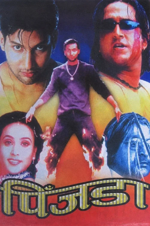 पिंजडा постер
