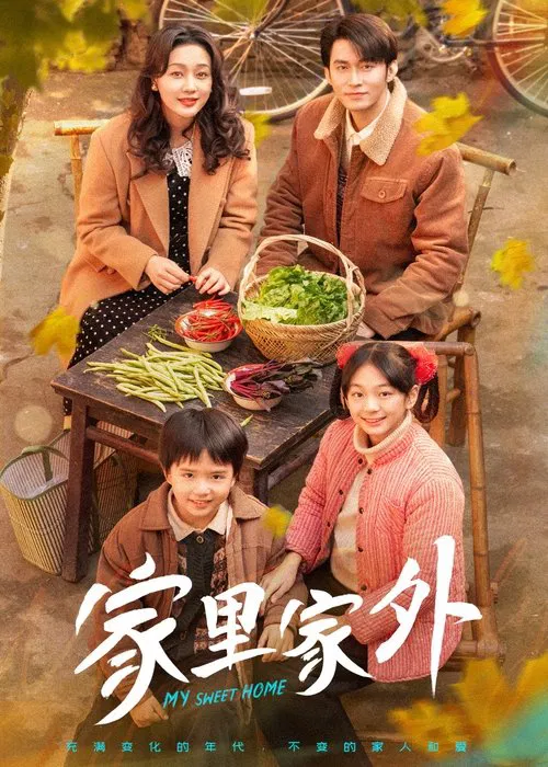 家里家外 постер