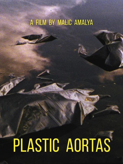 Plastic Aortas постер