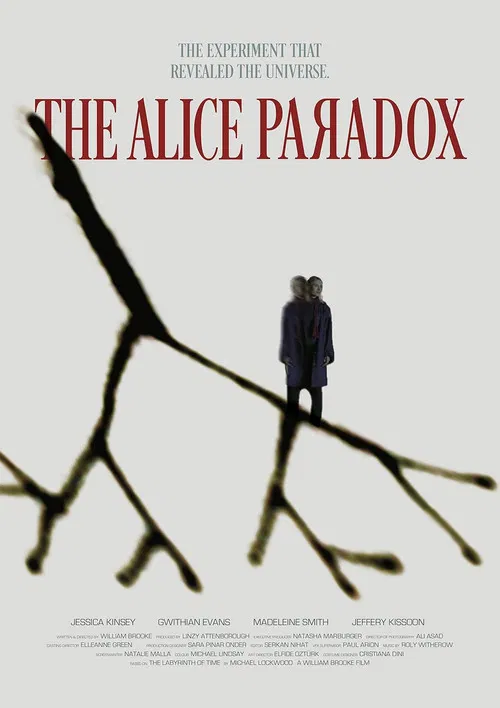 The Alice Paradox постер