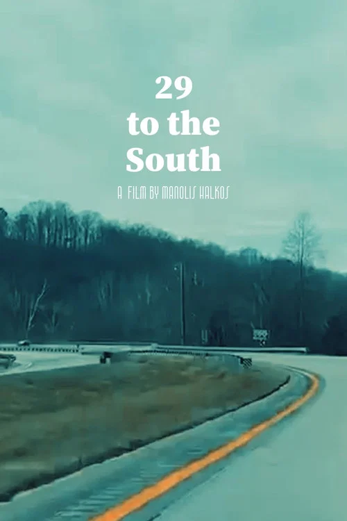 29 to the South постер