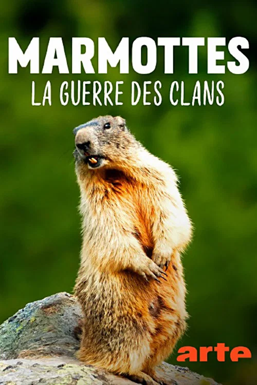Marmottes la Guerre des Clans постер