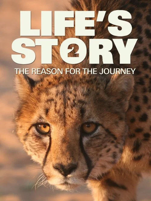 Life's Story 2: The Reason For The Journey постер