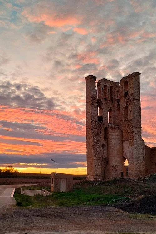 Tamariz de Campos постер