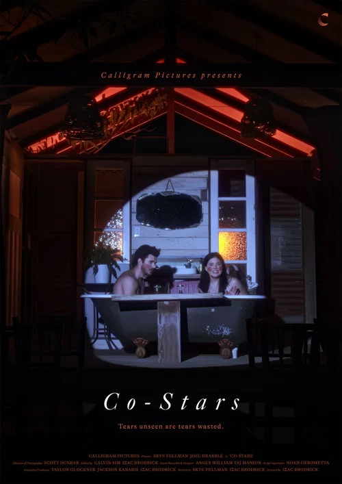 Co-Stars постер